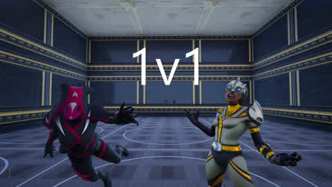 1V1 BOX FIGHT