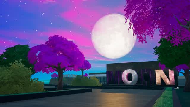 Capture 1 – MOON Party Royale