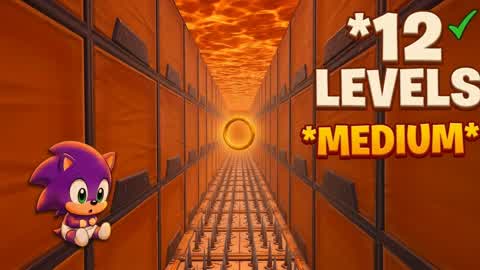 SONIC DEATHRUN MEDIUM 12 LEVELS