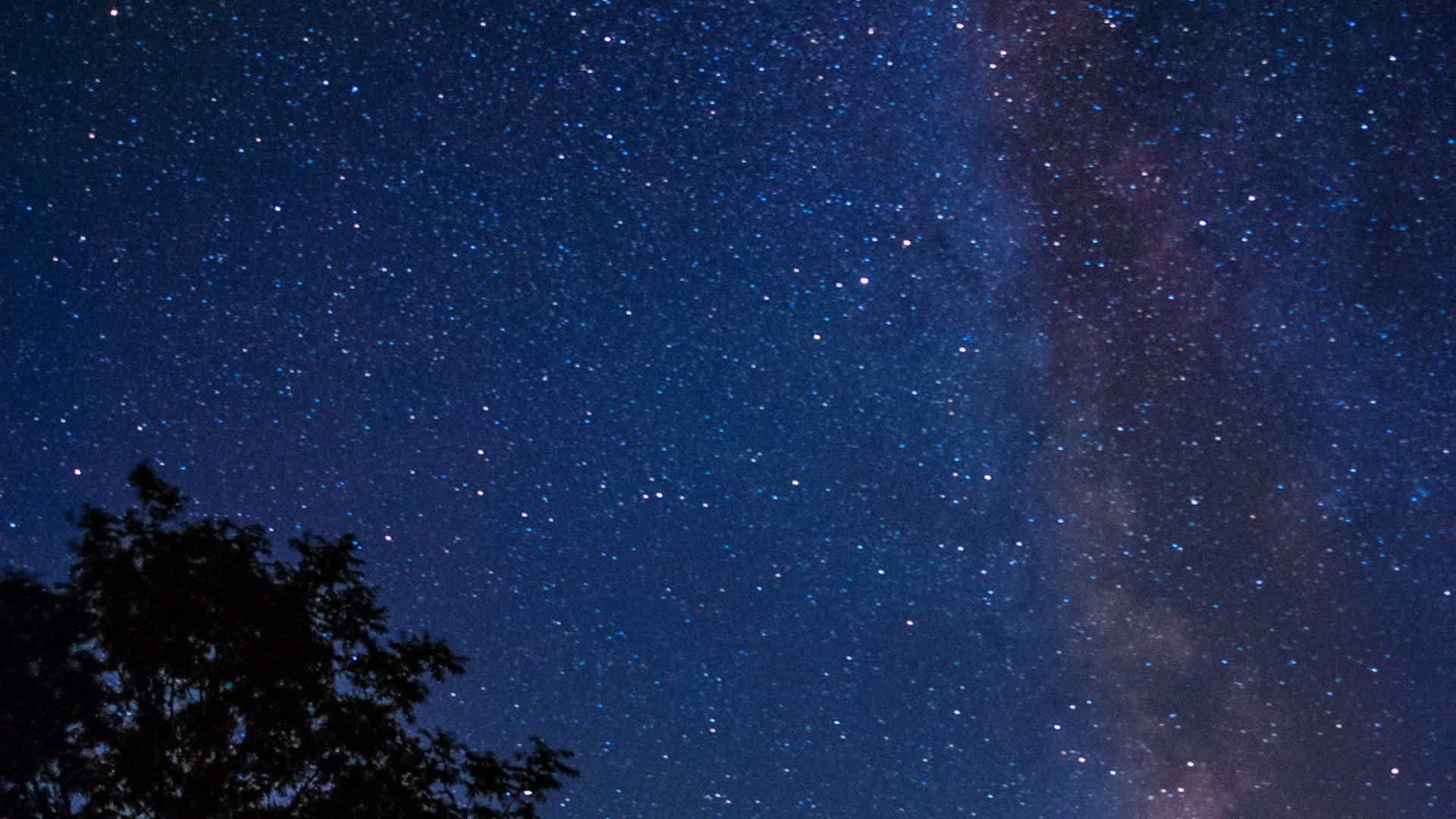 |CFC| 1v1v1v1v1 CQC BoxFight No Respawns