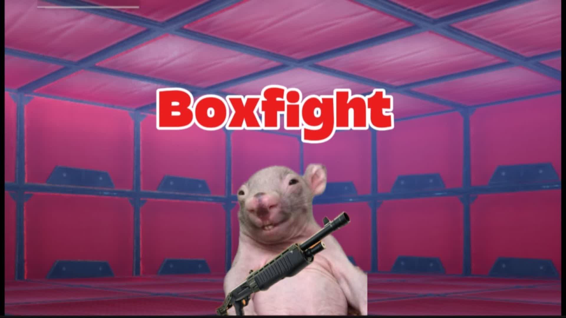 Boxfight