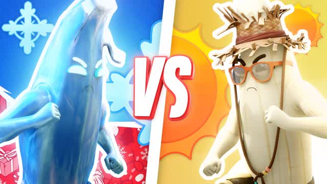 RED VS BLUE - WINTER VS SUMMER