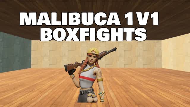MALIBUCA 1V1 BOXFIGHTS