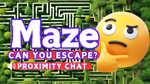 Maze
