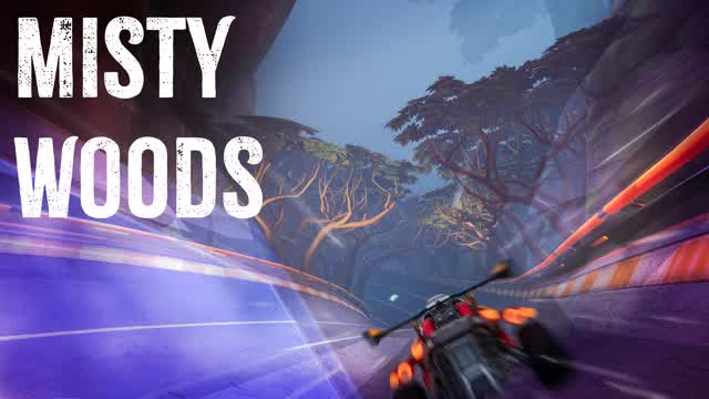 Capture 1 – Misty Woods