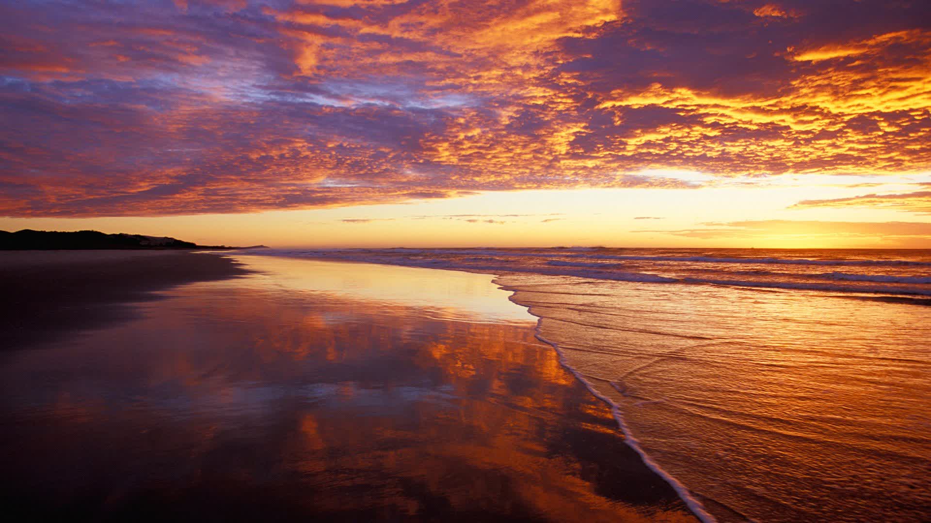 SAKURA RP V2..wl