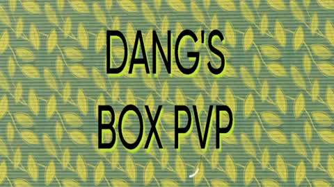 DANG'S BOX PVP