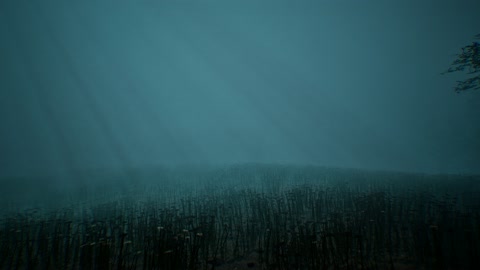 Island image