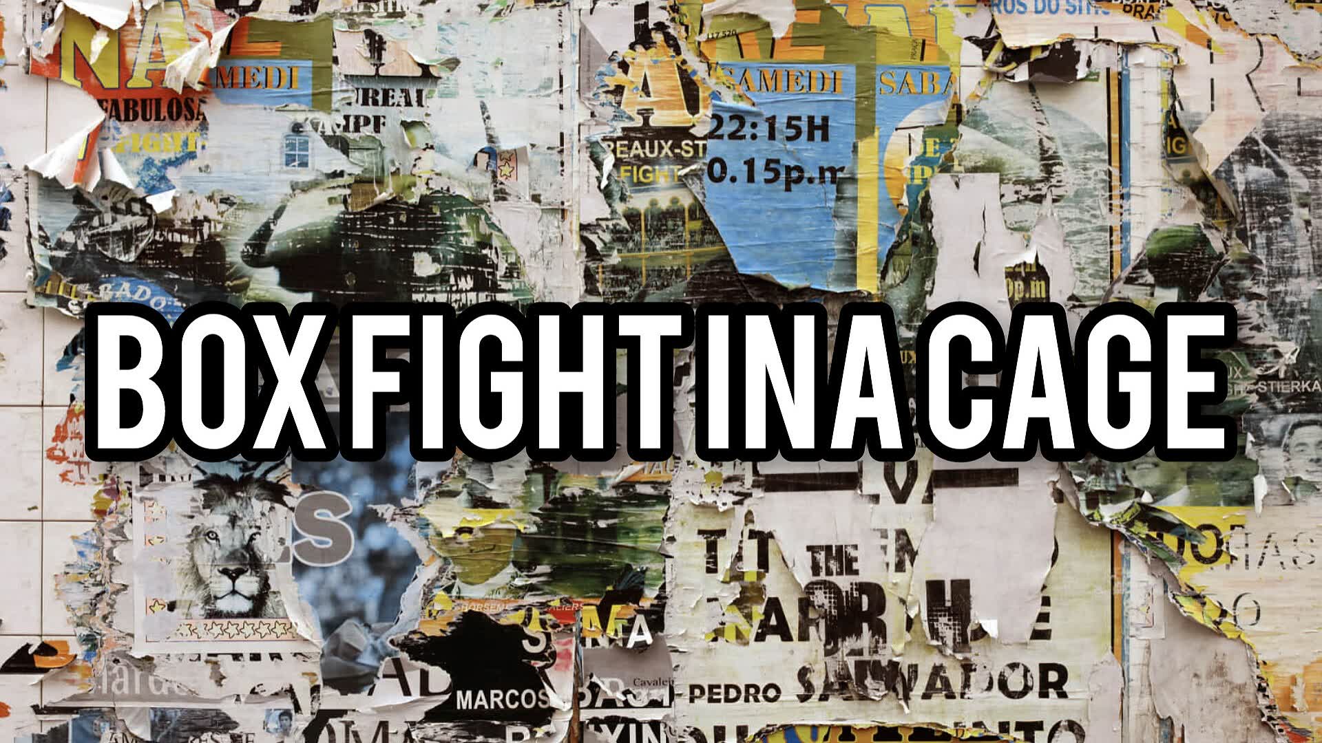 Box Fight Ina Cage