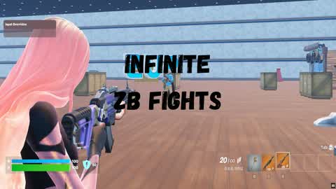 Infinite ZB Fights