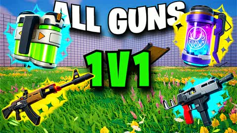 NEW 1V1 WITH EVERY GUN