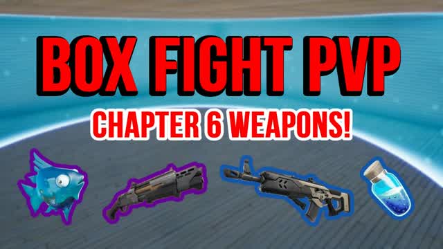 CHAPTER 6 BOX FIGHT