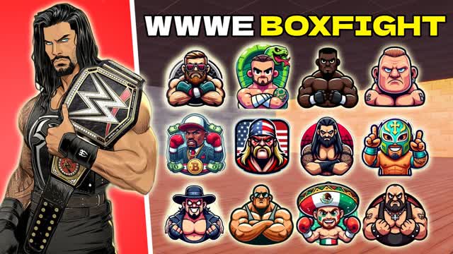 ⭐WWE BOXFIGHTS 📦