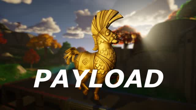Payload