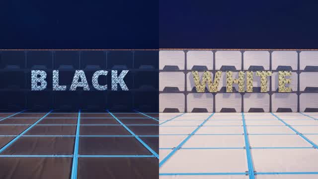 Black x white
