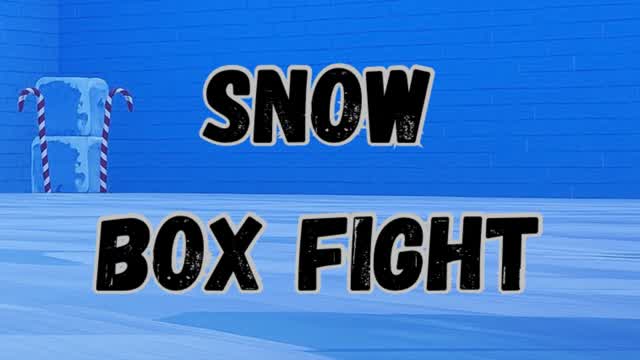 SNOW BOX FIGHT