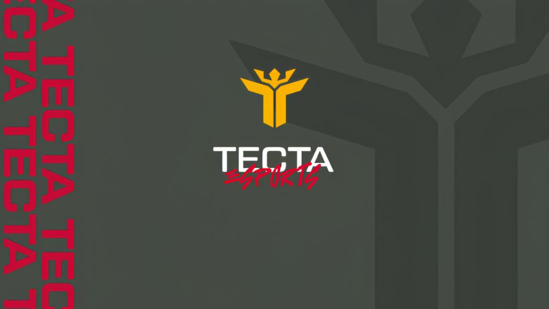 TECTA 1V1