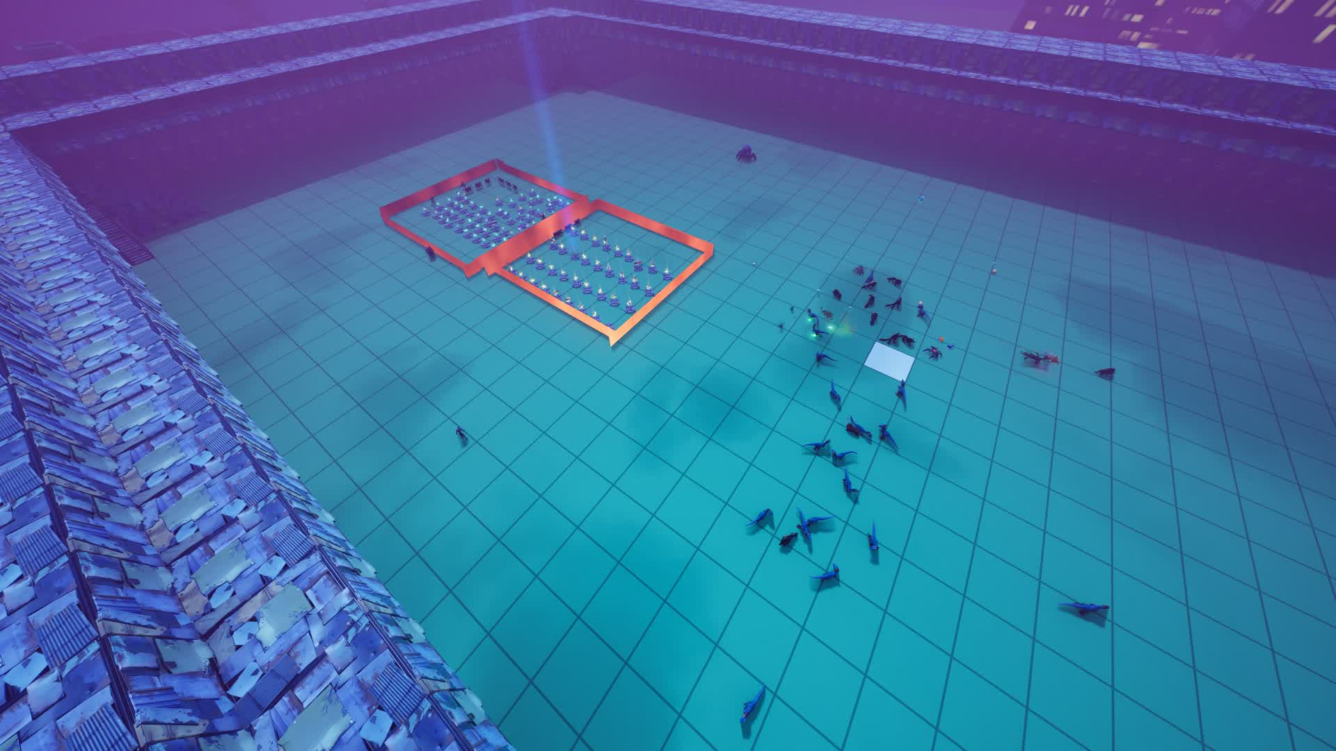 Wildlife vs Humans in a City