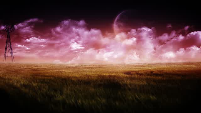 Capture 1 – TROPICAL Only up