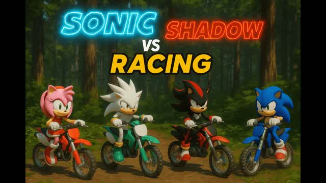 🏁 Sonic vs Shadow Racing 2🏁
