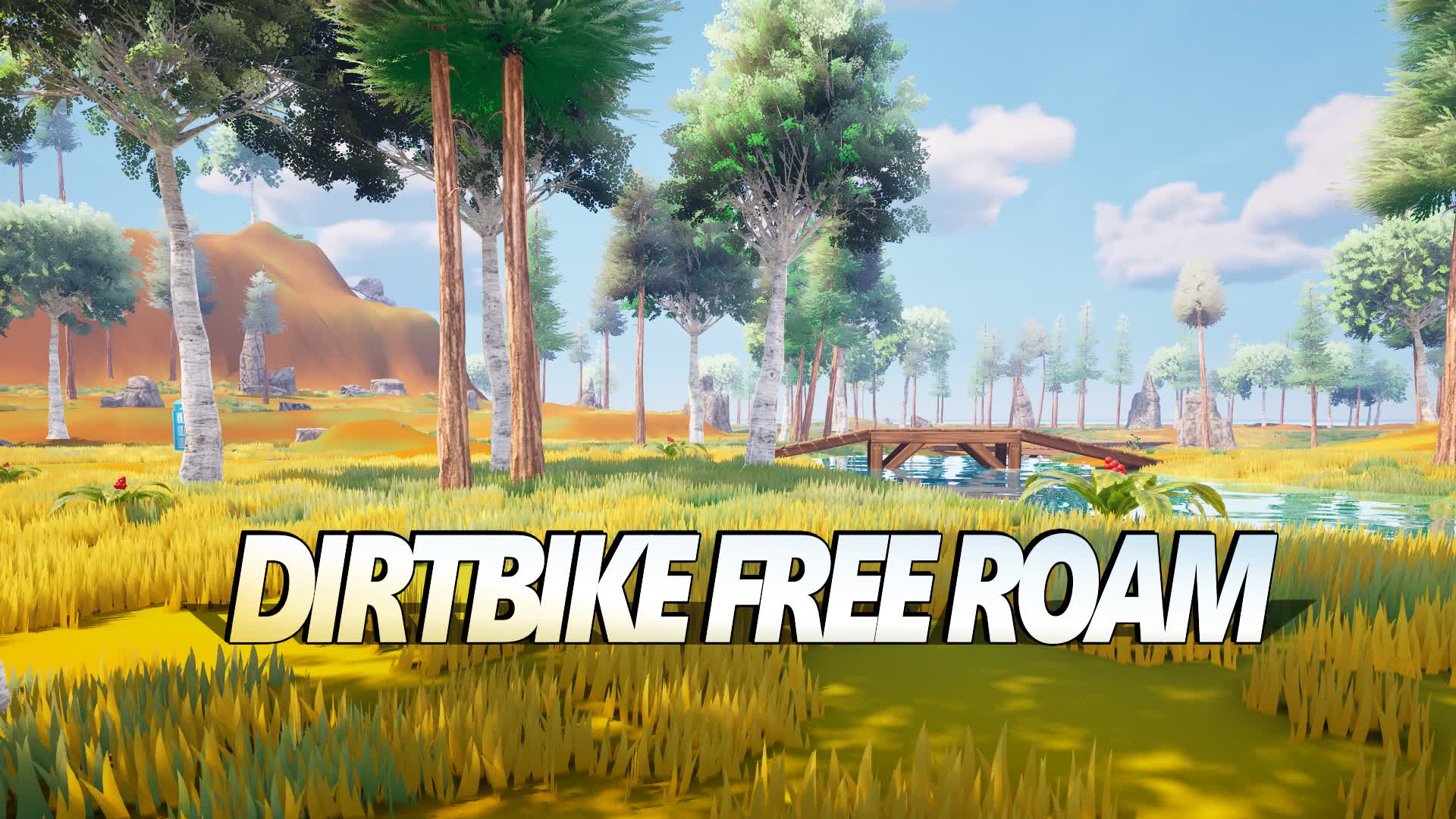 Dirtbikes Trail Jumps