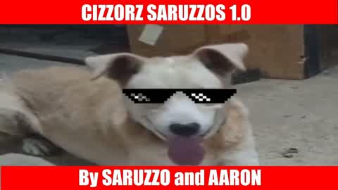 ❤️cizzorz saruzzos 1.0❤️