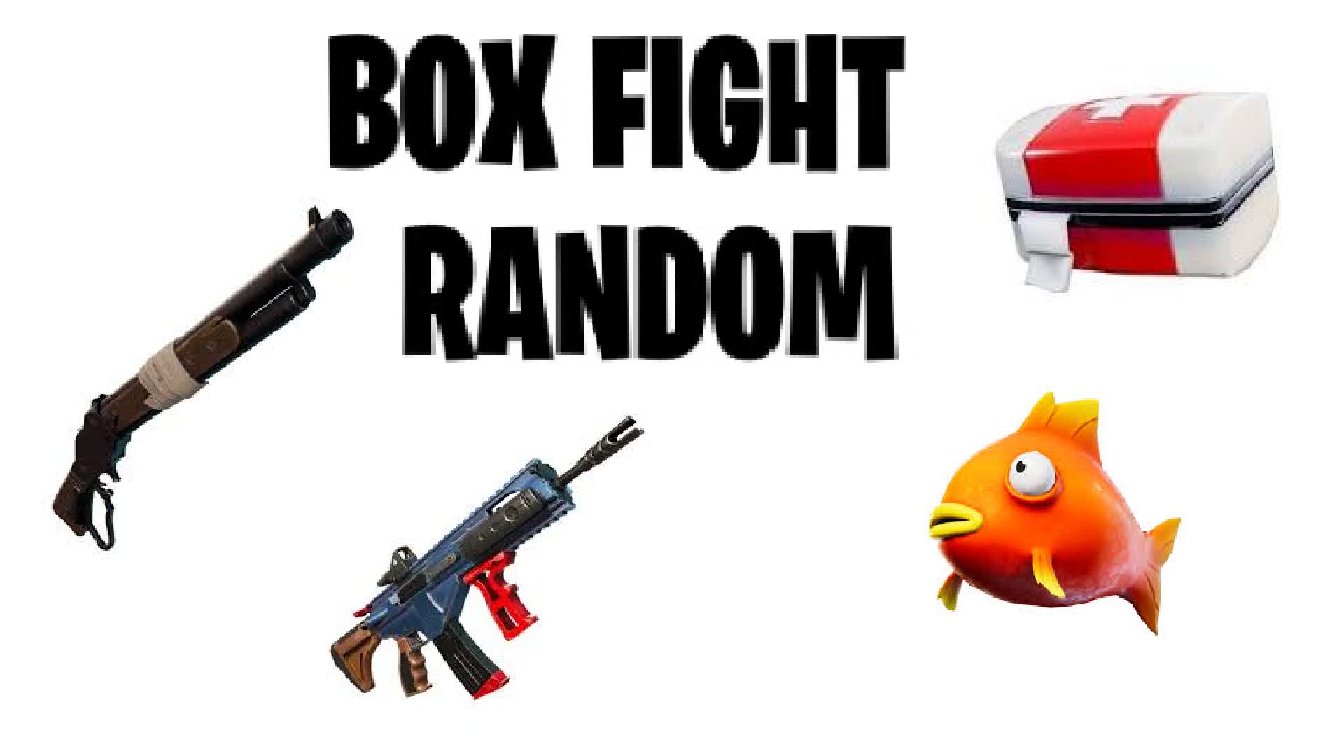 Box fight random