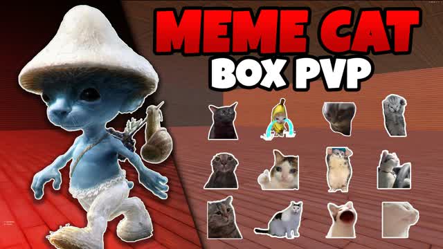 📦CAT BOXFIGHTS