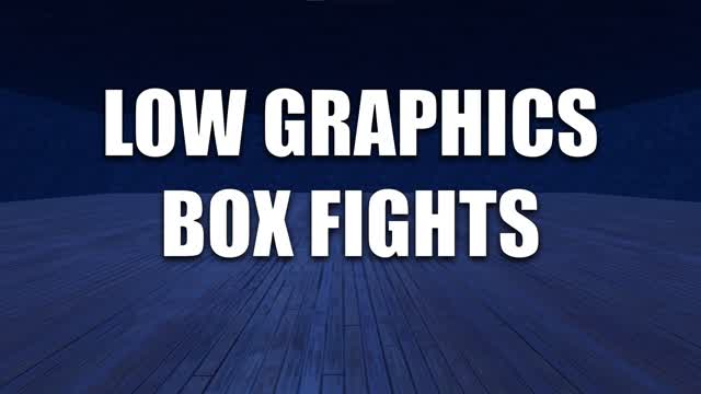 LOW GRAPHICS BOX FIGHTS