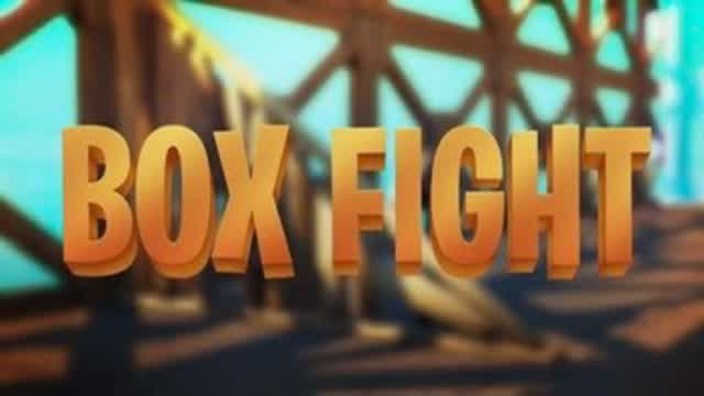 BoxFight