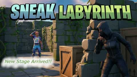 Sneak Labyrinth