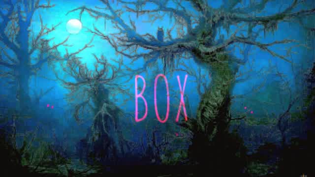 box fight en el bosque