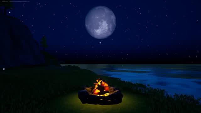 Capture 1 – 焚火と月夜/Bonfire and moonlit night