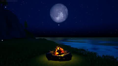 焚火と月夜/Bonfire and moonlit night