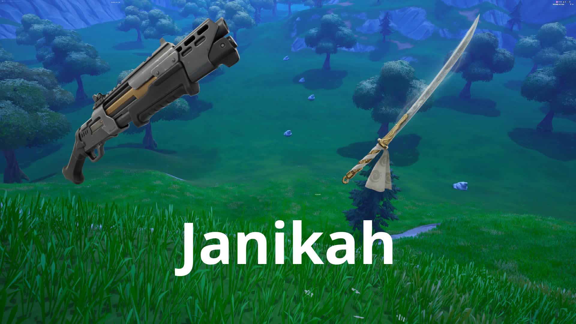 Janikah Endgame Zone Wars