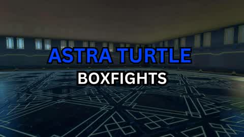 Astral Turtle Box Fights