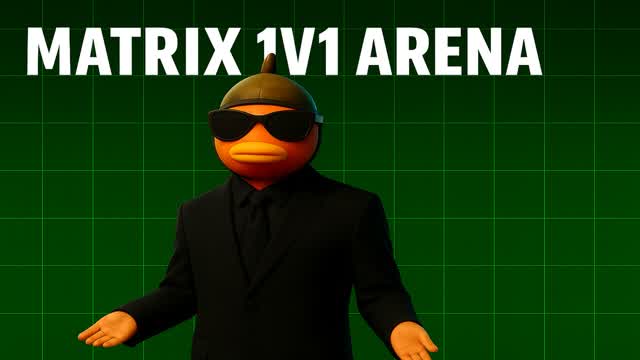 Matrix 1v1 Arena