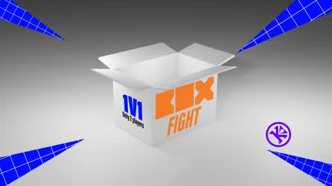 BOX FIGHT 1X1