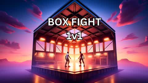 BOX FIGHT 1v1