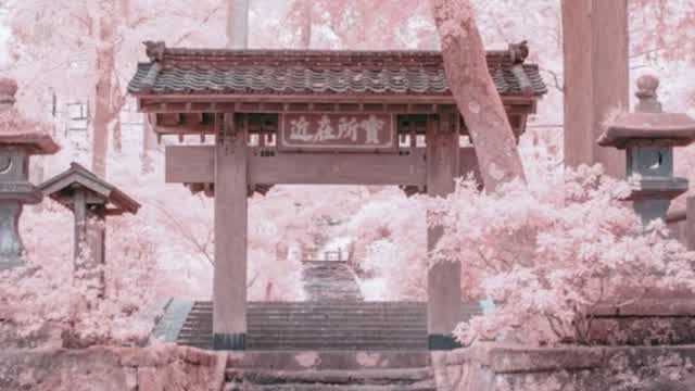 Osaka PR 🌸