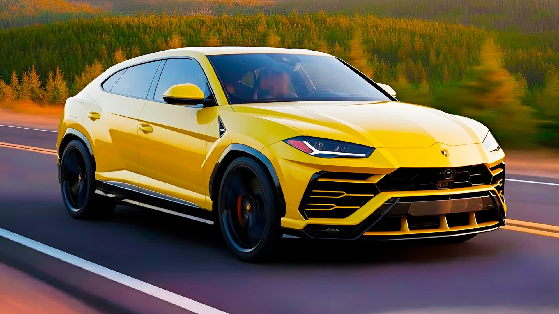 🚗YELLOW DRIVE🚗