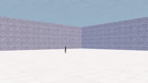 Boxfight1V1