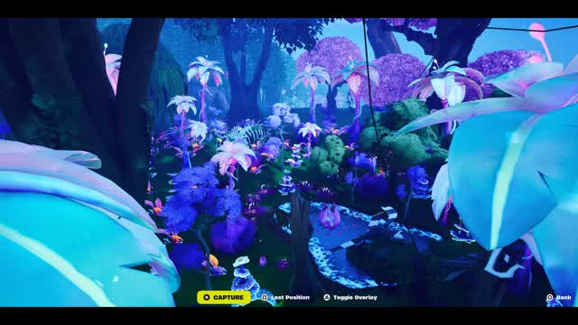 Capture 1 – Pandora