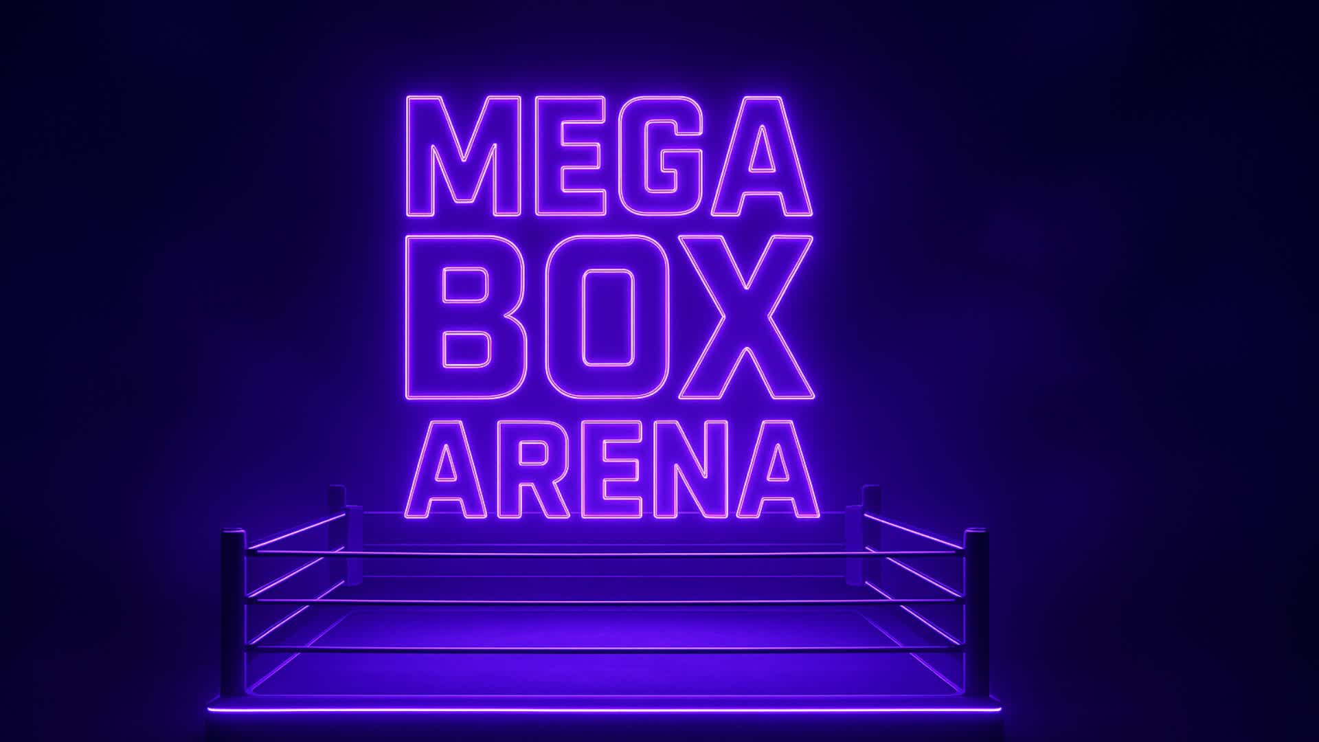 MEGA BOX ARENA