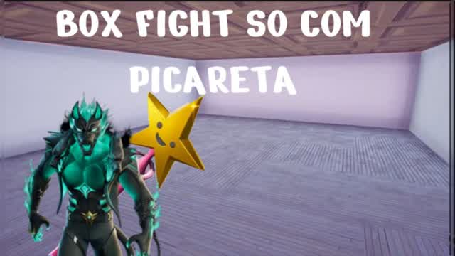 BOX FIGHT SO DE PICARETA
