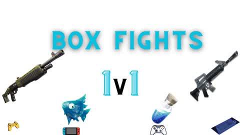 1v1 Box Fights