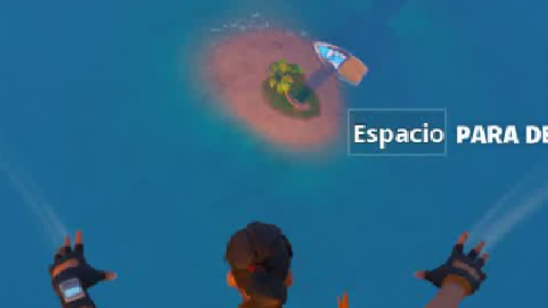 EL AGUA Y PALMERAS