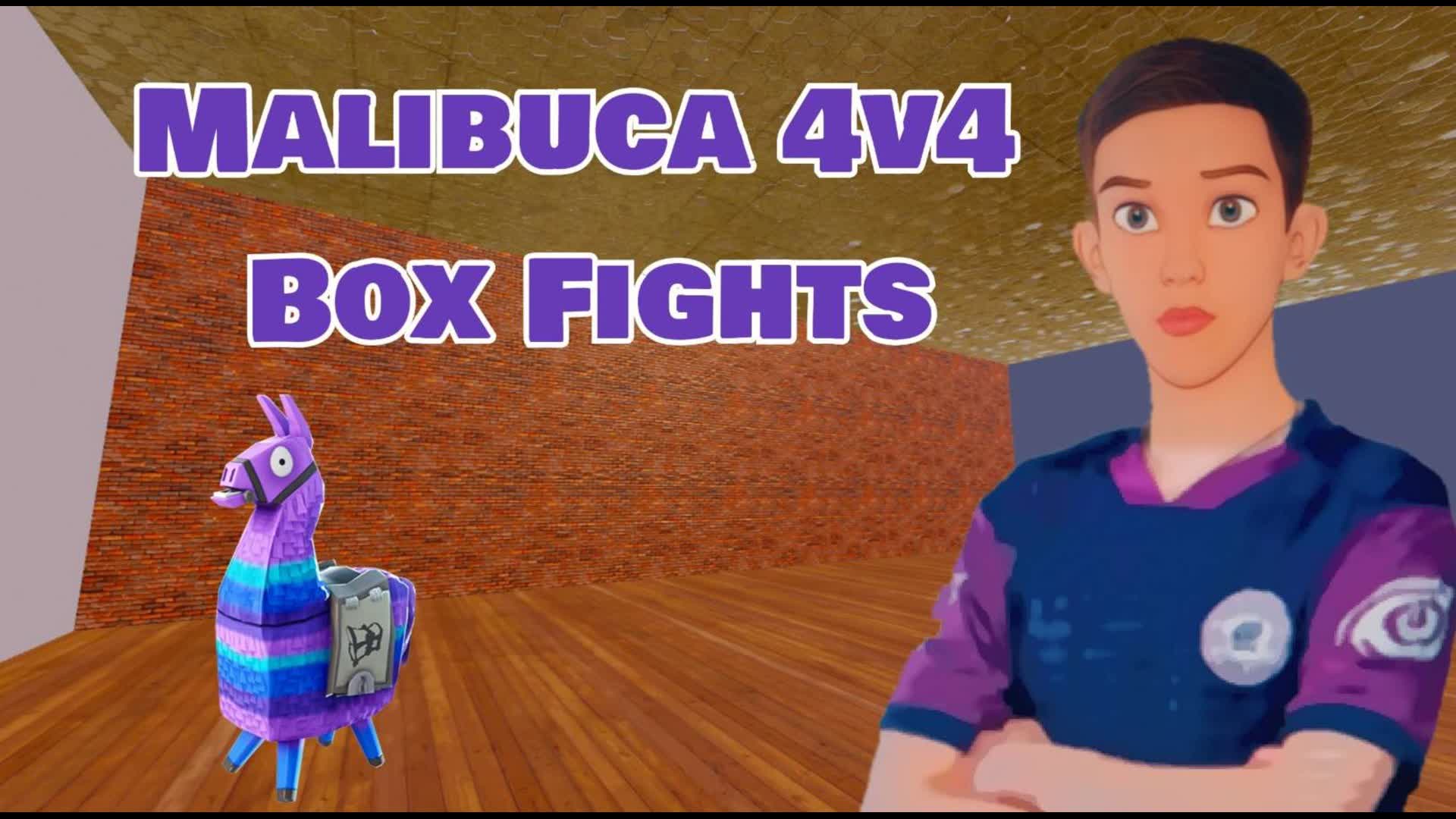Malibuca 4v4 Boxfights