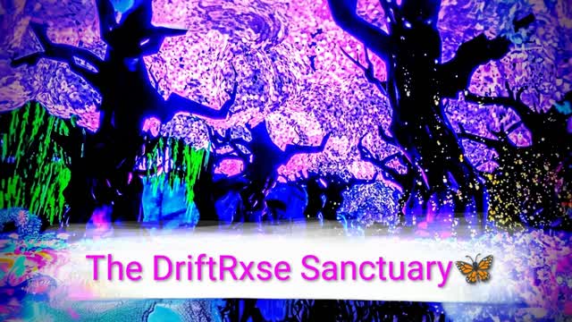 🦋The DriftRxse Sanctuary🦋