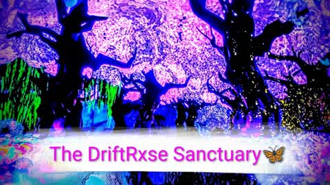 🦋The DriftRxse Sanctuary🦋